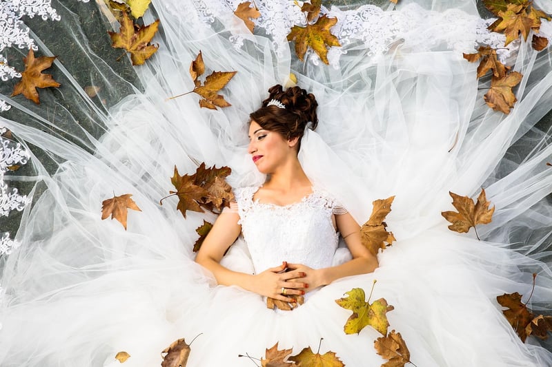 Ball Gown Wedding Dress